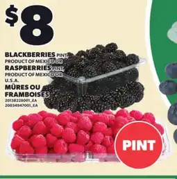 Independent Grocer BLACKBERRIES PINT, RASPBERRIES PINT offer