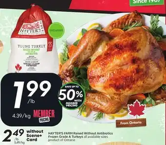 Sobeys HAYTER'S FARM Raised Without Antibiotics Frozen Grade A Turkeys offer
