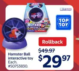 Walmart Hamster Ball interactive toy offer