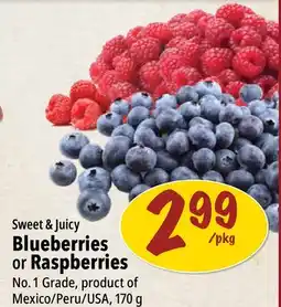 Farm Boy Sweet & Juicy Blueberries or Raspberries offer