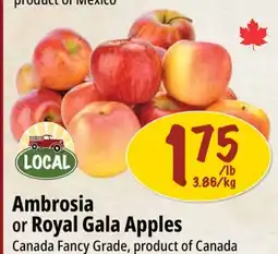 Farm Boy Ambrosia or Royal Gala Apples offer