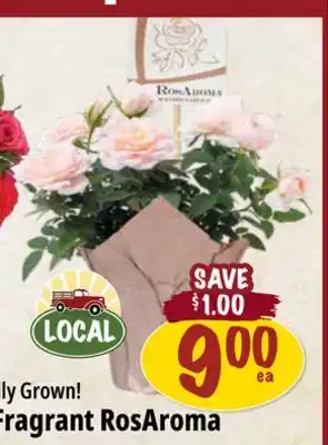 Farm Boy 4 Fragrant RosAroma offer