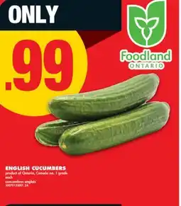 No Frills ENGLISH CUCUMBERS offer