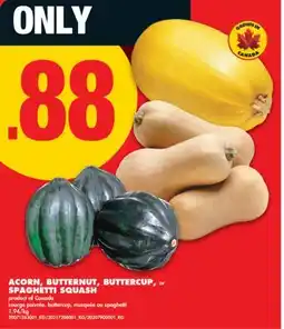 No Frills ACORN, BUTTERNUT, BUTTERCUP, or SPAGHETTI SQUASH offer