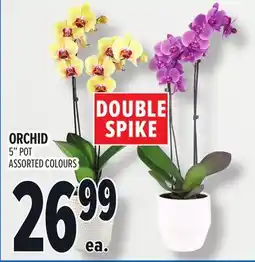 Metro ORCHID offer