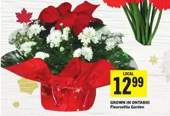 Foodland Fleursettia Garden offer