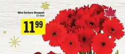 Foodland Mini Gerbera Bouquet offer