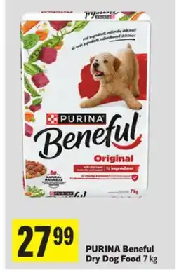 Foodland PURINA Beneful Dry Dog Food offer