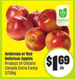 FreshCo Ambrosia or Red Delicious Apples Product of Ontario Canada Extra Fancy 3.73/kg offer