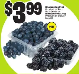 FreshCo Blueberries Pint, Blackberries 170 g Product of Peru No. 1 Grade or Product of USA or Mexico offer
