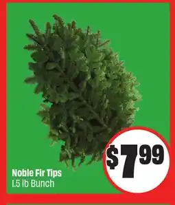 FreshCo Noble Fir Tips 1.5 lb Bunch offer