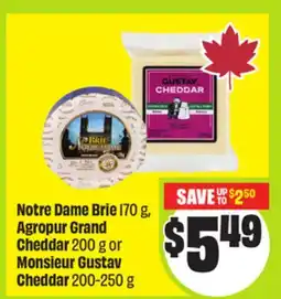 FreshCo Notre Dame Brie 170 g, Agropur Grand Cheddar 200 g or Monsieur Gustav Cheddar 200–250 g offer