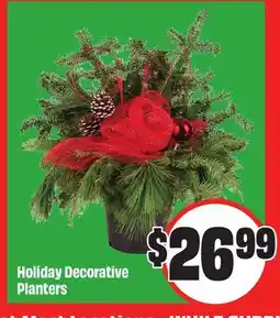 FreshCo Holiday Decorative Planters offer
