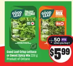 FreshCo Good Leaf Crisp Lettuce or Sweet Spicy Mix 226 g Product of Ontario offer