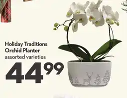 Longo's Holiday Traditions Orchid Planter offer