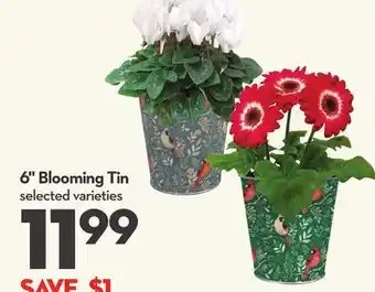 Longo's 6 Blooming Tin offer