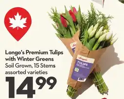 Longo's Premium Tulips with Winter Greens offer