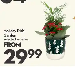 Longo's Holiday Dish Garden offer