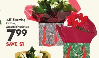 Longo's 4.5 Blooming Giftbag offer