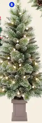 RONA Potted Christmas trees offer