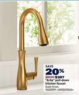 RONA MOEN Arlia pull-down kitchen faucet offer