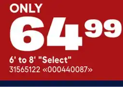 RONA Balsam firs 6' to 8' Select offer