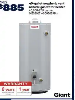 RONA 40-gal atmospheric vent natural gas water heater offer