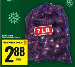 Food Basics RED ONIONS offer