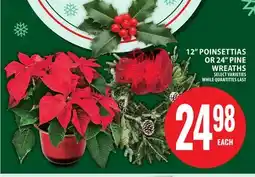 Food Basics 12 POINSETTIAS OR 24 PINE WREATHS offer