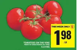 Food Basics TOMATOES ON THE VINE offer