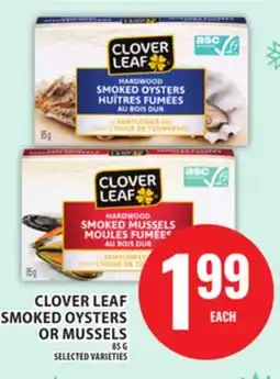 Food Basics CLOVER LEAF SMOKED OYSTERS OR MUSSELS offer