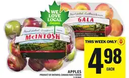 Food Basics APPLES offer