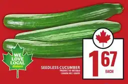 Food Basics SEEDLESS CUCUMBER offer