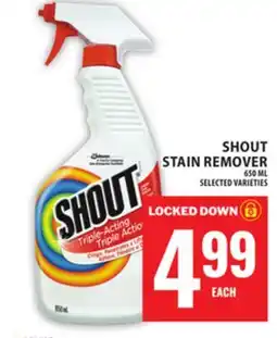 Food Basics SHOUT STAIN REMOVER offer