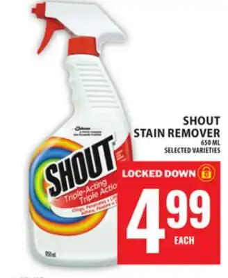 Food Basics SHOUT STAIN REMOVER offer