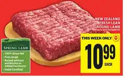 Food Basics NEW ZEALAND FRESH LEAN GROUND LAMB offer