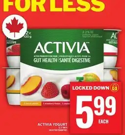 Food Basics ACTIVIA YOGURT offer