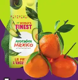 Chalo FreshCo Stem & Leaf Clementines Product of Spain 4.39/kg or Bagged Avocado 5 pk product of Mexico offer
