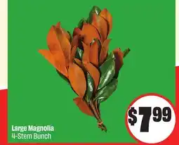 Chalo FreshCo Large Magnolia 4-Stem Bunch offer