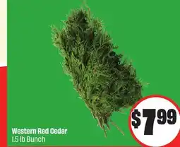 Chalo FreshCo Western Red Cedar 1.5 lb Bunch offer
