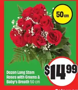 Chalo FreshCo Dozen Long Stem Roses with Greens & Baby's Breath 50 cm offer