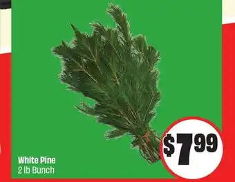Chalo FreshCo White Pine 2 lb Bunch offer