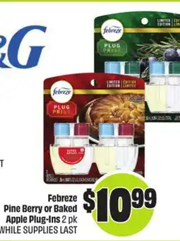 Chalo FreshCo Febreze Pine Berry or Baked Apple Plug-Ins 2 pk offer