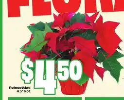 Chalo FreshCo Poinsettias 4.5 Pot offer