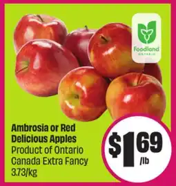 Chalo FreshCo Ambrosia or Red Delicious Apples Product of Ontario Canada Extra Fancy 3.73/kg offer