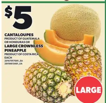 Loblaws CANTALOUPES OR LARGE CROWNLESS PINEAPPLE offer