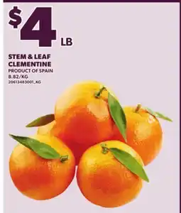 Loblaws STEM & LEAF CLEMENTINE offer