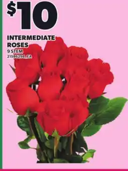 Loblaws INTERMEDIATE ROSES, 9 STEM offer