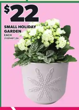 Loblaws SMALL HOLIDAY GARDEN offer