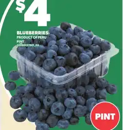 Loblaws BLUEBERRIES, PINT offer
